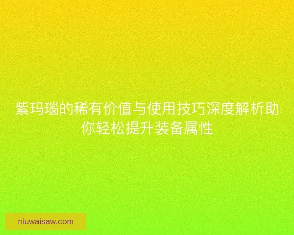 紫玛瑙的稀有价值与使用技巧深度解析助你轻松提升装备属性