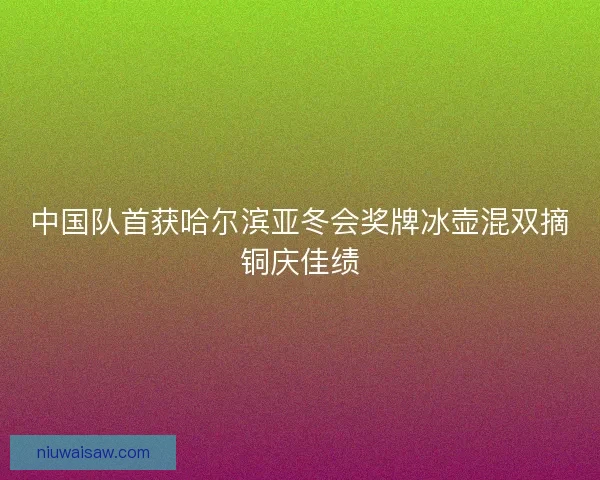中国队首获哈尔滨亚冬会奖牌冰壶混双摘铜庆佳绩