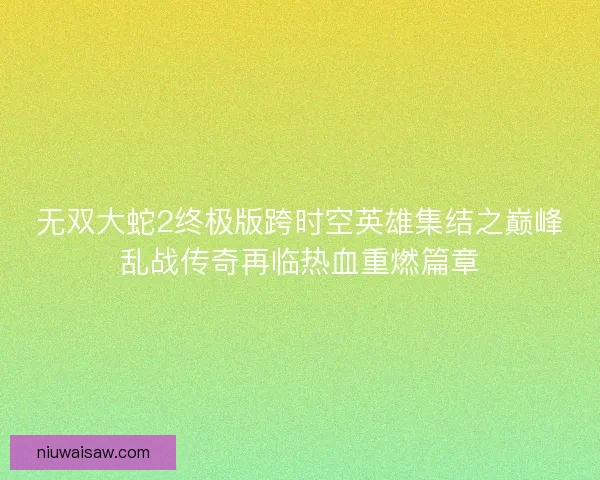 无双大蛇2终极版跨时空英雄集结之巅峰乱战传奇再临热血重燃篇章