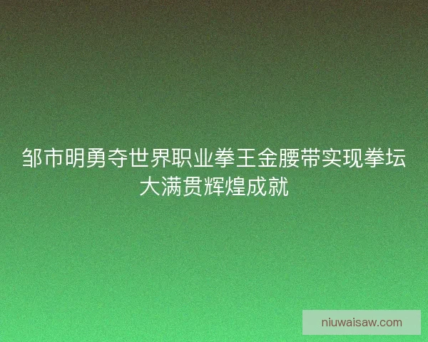 邹市明勇夺世界职业拳王金腰带实现拳坛大满贯辉煌成就