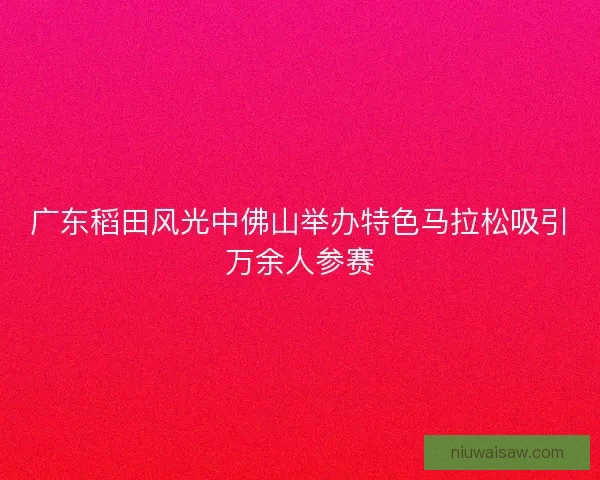 广东稻田风光中佛山举办特色马拉松吸引万余人参赛